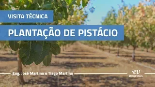 Visita Técnica Plantação de Pistácio - 5 de outubro