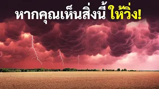 ปรากฏการณ์ธรรมชาติสุดประหลาดที่จะทำให้คุณตะลึง