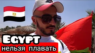 Египет 🇪🇬 Выводы о The Three Corners Sea Beach Resort / Дорога в Хургаду из Марса Алам за копейки