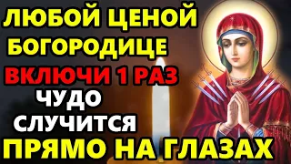 ЛЮБОЙ ЦЕНОЙ ВКЛЮЧИ МОЛИТВУ О ПОМОЩИ БОГОРОДИЦЕ! ЧУДО СЛУЧИТСЯ ПРЯМО НА ГЛАЗАХ Православие