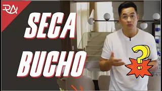 SECA BUCHO - Rafael Aismoto
