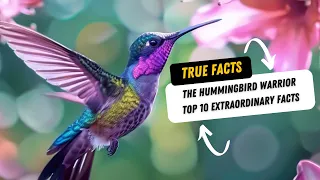 True Facts: The Hummingbird Warrior - Top 10 Extraordinary Facts