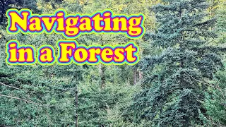 THIS is how to navigate in a forest – Forest Navigation done correctly