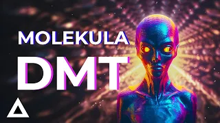 DMT: Technológia na PRENOS do paralelných VESMÍROV?