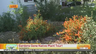 Gardens Gone Native Plant Tour!