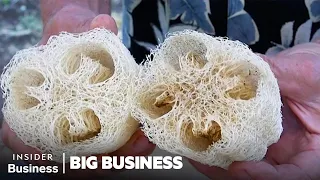 How 200,000 Luffas Become Kitchen Sponges | Big Business | Insider Business