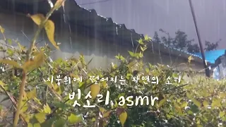 편안한 수면을 위한 지붕위에 풀들에 떨어지는 빗소리☔️asmr🌿 6시간 ☔️10분뒤 검은색 화면으로 암전#nature