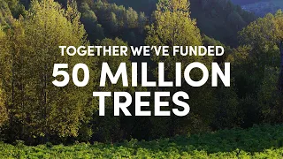 We've funded 50 million trees! 🌱 | Ecologi