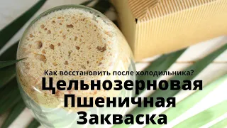 Цельнозерновая пшеничная закваска для хлеба ✧ КАК ВОССТАНОВИТЬ ЗАКВАСКУ ПОСЛЕ ХОЛОДИЛЬНИКА