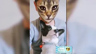 Funny Dogs and Cats Scared Of Cat Mask Filter-Dog and Cat Reaction To Mask Filter #dog #cat #funny