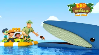 Ballena Jorobada 🐋 | Leo, El Explorador Episodio | Animación | Familia | Niños #compilation