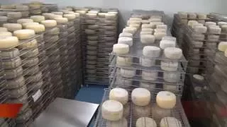 La meraviglia del formaggio al Caseificio Valposchiavo