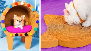 New Cardboard DIY Crafts: Fun Projects for Furry Friends & You! 📦🐾