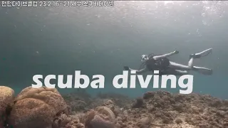 #세부스쿠버다이빙 투어 #스쿠버다이빙동호회 무한망고와 함께한 해외여행 #scubadiving