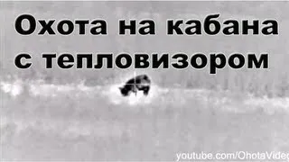 Охота на кабана с тепловизором видео 2012-2013 Wild boar hunting in Russia.