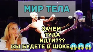 Мир тела. Уникальная выставка человеческих тел.