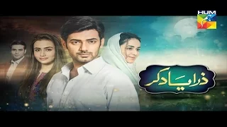 Zara Yaad Kar Episode 23 Promo Hd Hum TV