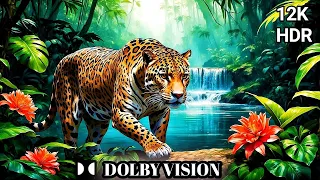 Best of Dolby Vision HDR 12K 120FPS - Dolby Atmos