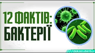 12 фактів про бактерії