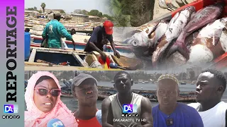 Abondance de la pêche: Yarakh, Soumbédioun et Yoff assurent que le poisson se fait toujours rare.