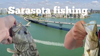 Sarasota Florida Fishing!!!  (Had to find the fish)