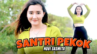 Novi Sasmita X Bajol Ndanu - Santri Pekok (Official Music Video)