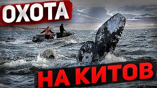 Охота на китов  Гарпун  Разговор с ученым   Пробую мясо кита  Косторезы    #3