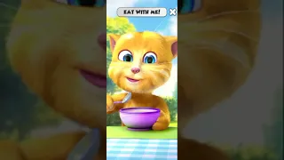 my talking Ginger cat eating fruit