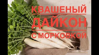 Квашеный дайкон с морковкой. Полезная, лёгкая закуска. Ваш желудок с печенью скажет вам спасибо!