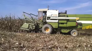 MDW fortschritt E514 corn harvest Albania