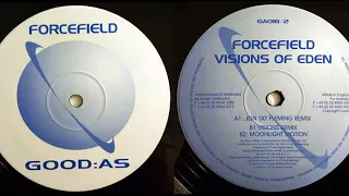 Forcefield - Visions Of Eden (John '00' Fleming Remix)