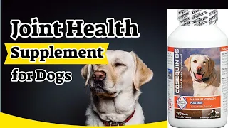 Best Joint Supplements For Dogs - Glucosamine for Dogs