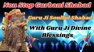 Non Stop Guru Ji Gurbani Shabad || Guru Ji Blessed Shabad || Jai Guru Ji
