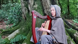 Lothlórien (The Lord of the Rings) by Enya - Harp Larks
