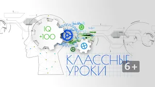 «Классные уроки: +100 к интеллекту»: Ржевская битва