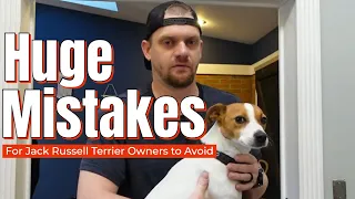 HUGE Mistakes Jack Russell Terrier Owners Make [Avoid These For Success] #jackrussellterrier #jrt