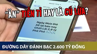 Đường dây đánh bạc 2.600 tỷ đã lừa con bạc như thế nào? | VTV24