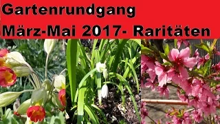 Gartenrundgang Teil 1/2 März-Mai 2017- Raritäten im Obst- und Gemüsegarten