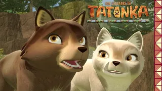 Tatonka est en danger | Tatonka | Dessins animés d'animaux
