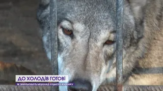 Як зимуватиме Луцький зоопарк