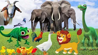 Wild Animals sounds puppies, kitten, cow, chick, elephant, cat, camel, horse​,dog, hippopotamus