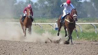 24.07.2016 г. Скачка на "ПРИЗ ЭЛИТЫ"