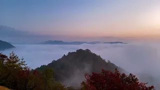 Castle in The Sky - Takeda Castle Hyogo , Japan