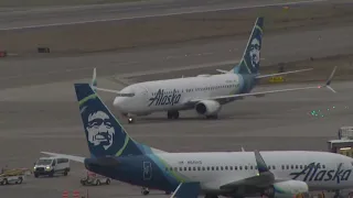 Alaska Airlines works to get back on schedule after FAA grounds all flights