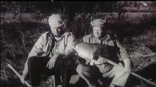 Graveside Funeral, 1950s - Film 99756