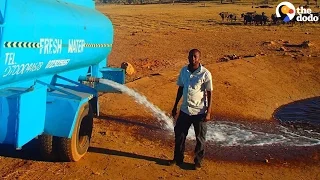 Man Drives Hours to Give Animals Water During A Drought | The Dodo