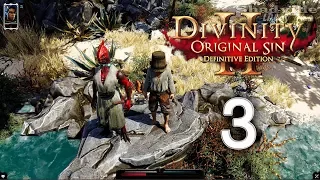 Divinity: Original Sin 2 - Definitive Edition Прохождение #3: Красный принц и Фейн