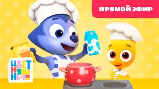 🎉💥Выходные с Цветняшками - Прямой Эфир - Развивающий мультфильм💥🎉