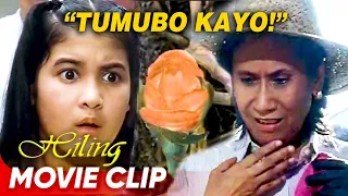 Tumubo na ang halaman ni Tiya Pura! | ‘Hiling’ Movie Clip (3/8)