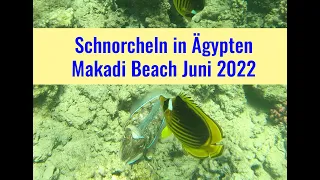 Schnorcheln Ägypten Makadi Bay Hausriff  2022 4K